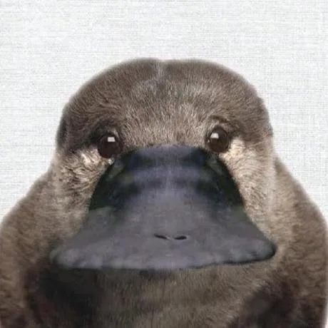 오리너구리군