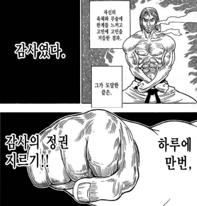 감사의 정권 지르기