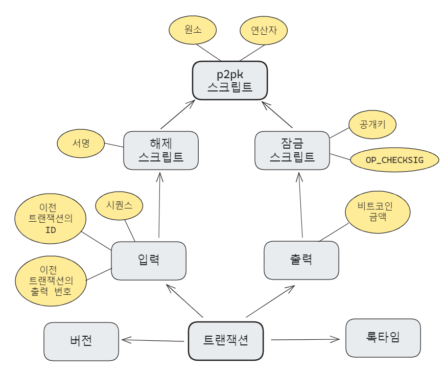 p2pk 스크립트